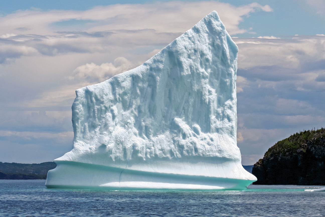Quidi Vidi Charters – The best fishing charters in Newfoundland – QV ...